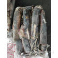 Frozen Squid Dosidicus Gigas Whole Round 1000-2000g